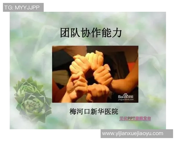 杭州乒乓球队个人能力提升之路与团队协作的完美结合