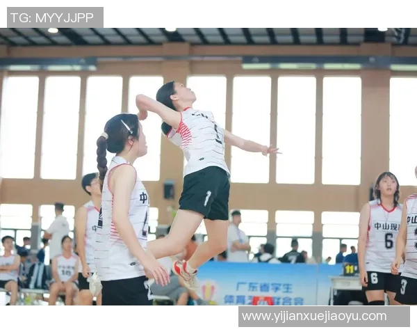 武汉排球队的奋斗与荣耀：一部排球精神的真实纪实之旅