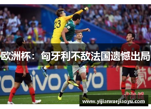 欧洲杯：匈牙利不敌法国遗憾出局