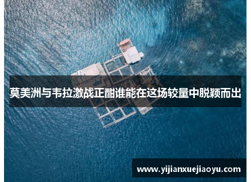 莫美洲与韦拉激战正酣谁能在这场较量中脱颖而出