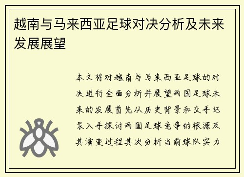 越南与马来西亚足球对决分析及未来发展展望